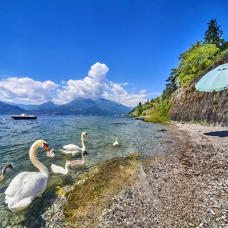 Appartement El Lavandee Varenna